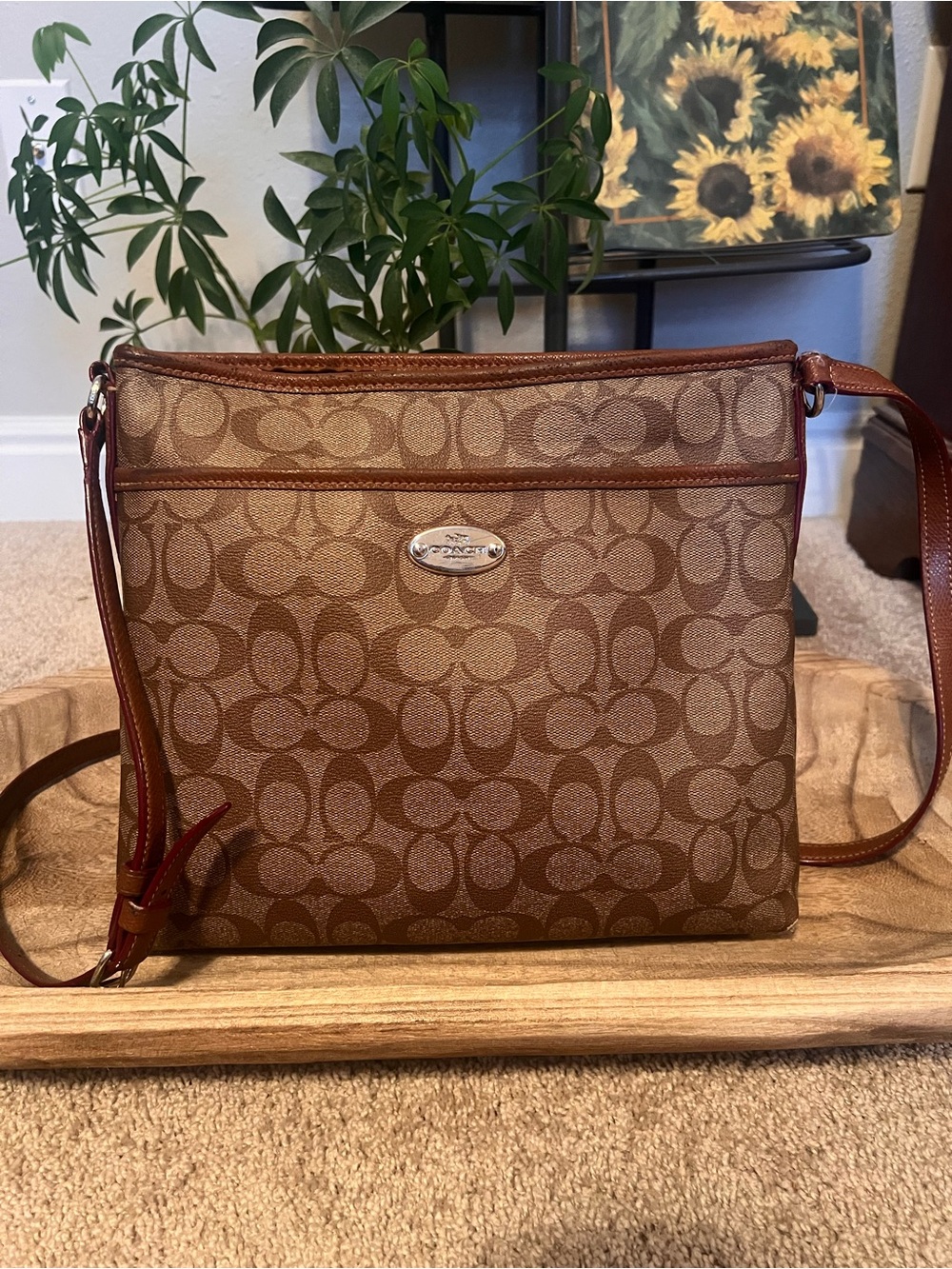 Coach Signature C Jacquard Crossbody Bag